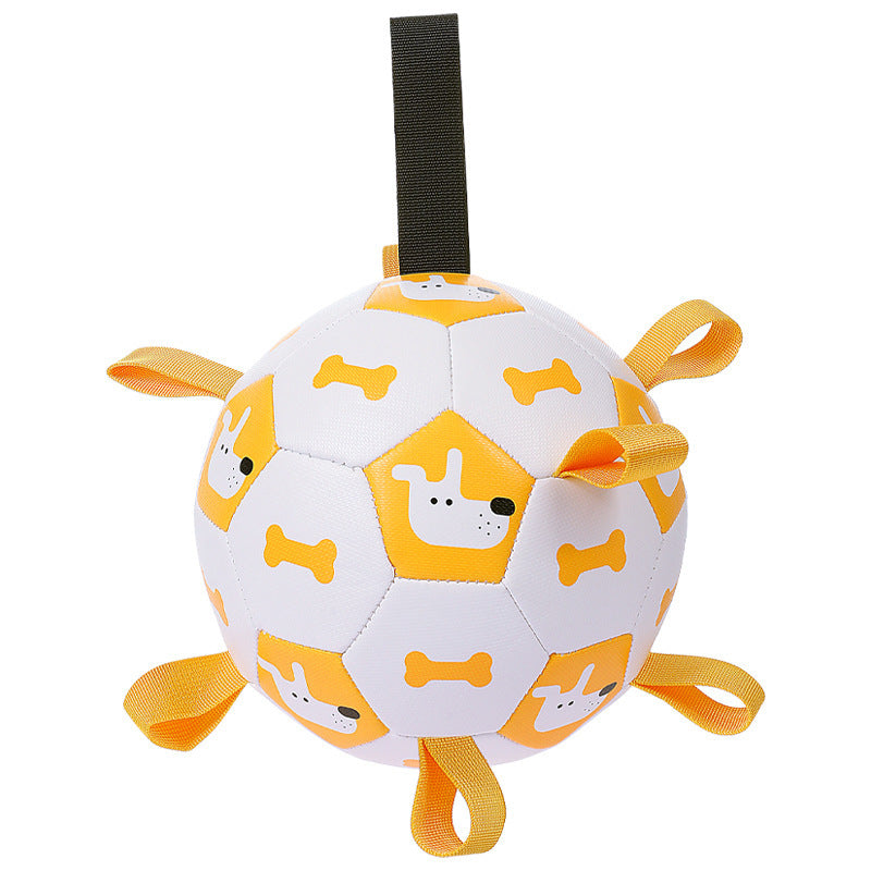 Interactive Dog Outdoor Training Football Toy