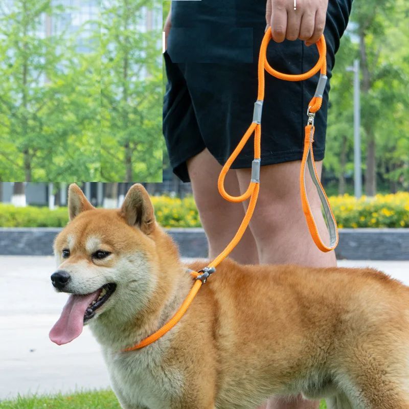 Double Handle Nylon Dog Training Leash