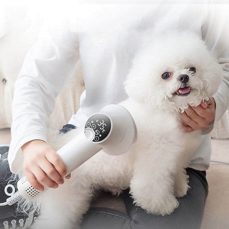 Smart Golden Retriever Pet Hair Dryer