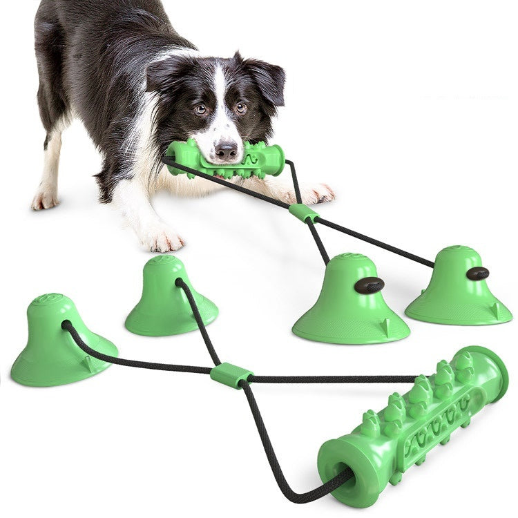Suction Cup Molar Chewing Leaking Treat Toy