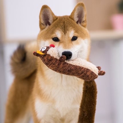 Plush Pet Relaxing Sounding Toys