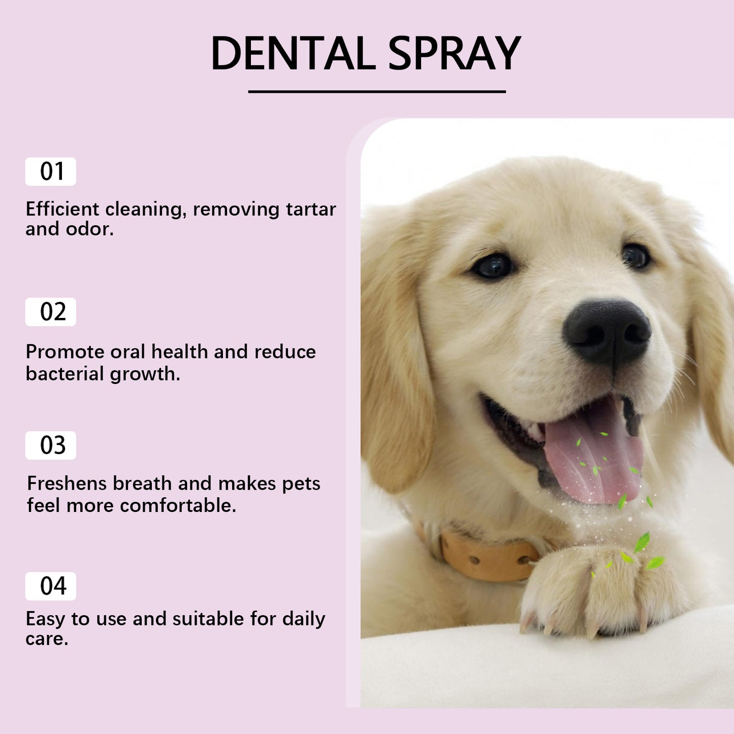 Pet Teeth Clean Mouth Care Spray
