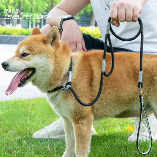Double Handle Nylon Dog Training Leash
