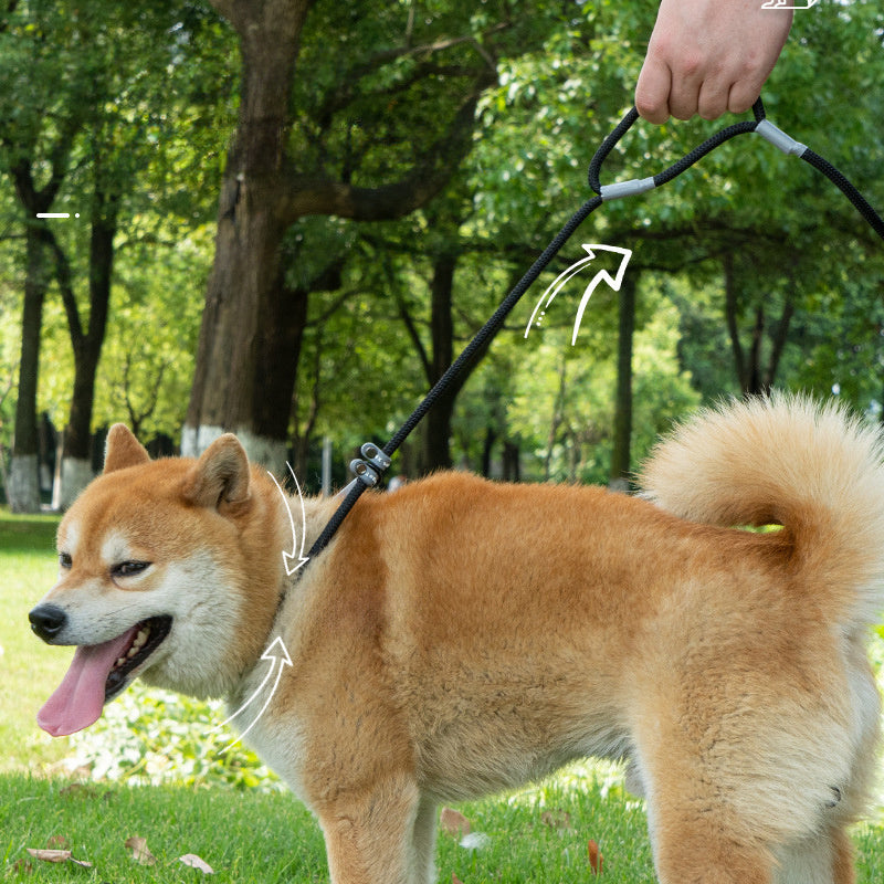 Double Handle Nylon Dog Training Leash