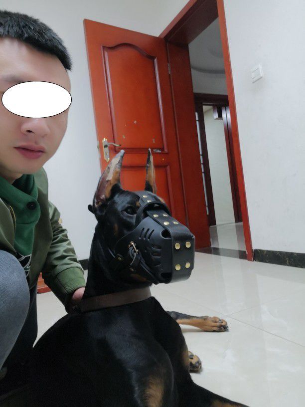Pet Dog Cowhide Mouth Muzzle