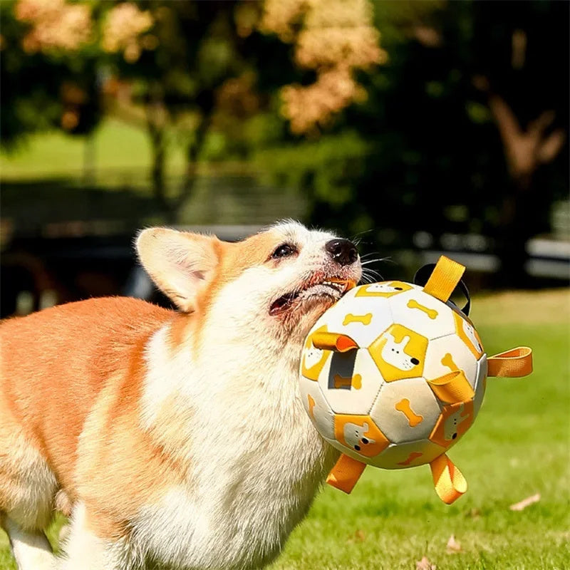 Interactive Dog Outdoor Training Football Toy