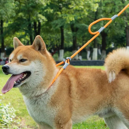 Double Handle Nylon Dog Training Leash