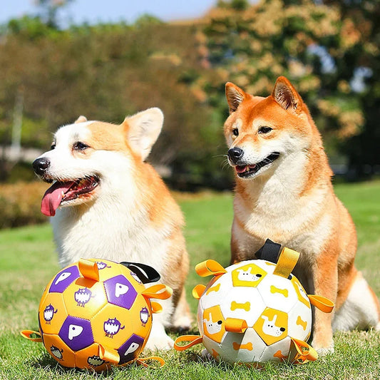 Interactive Dog Outdoor Training Football Toy