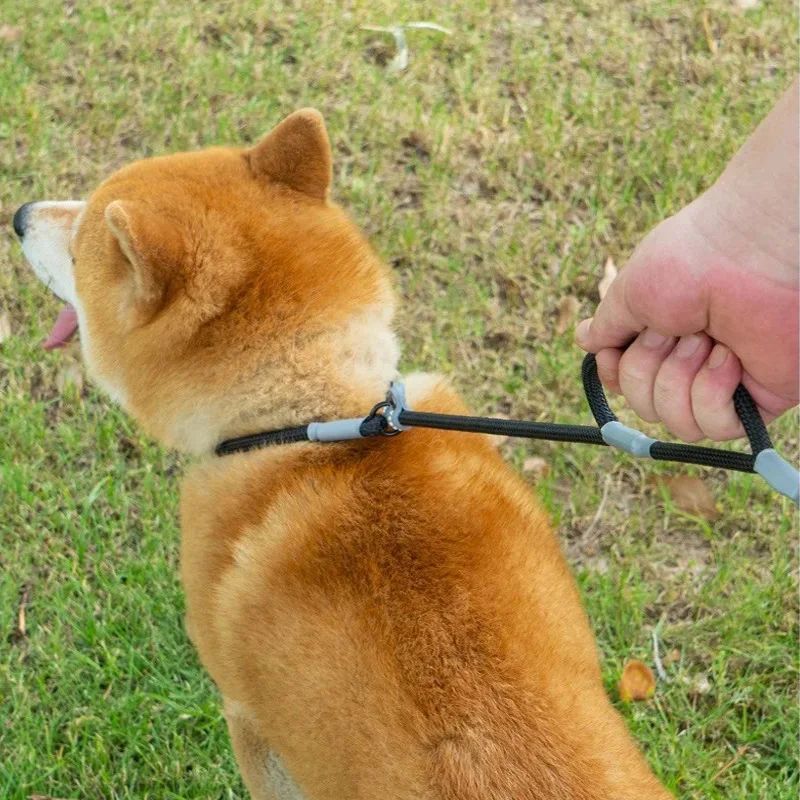 Double Handle Nylon Dog Training Leash