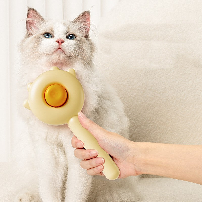Pet Cat Hair Removal Scratcher