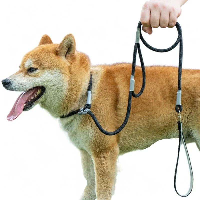 Double Handle Nylon Dog Training Leash