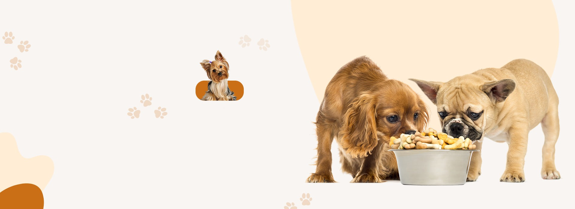 Two dogs eating from a bowl of food with a smaller dog peeking out from behind a large dog on a beige background.